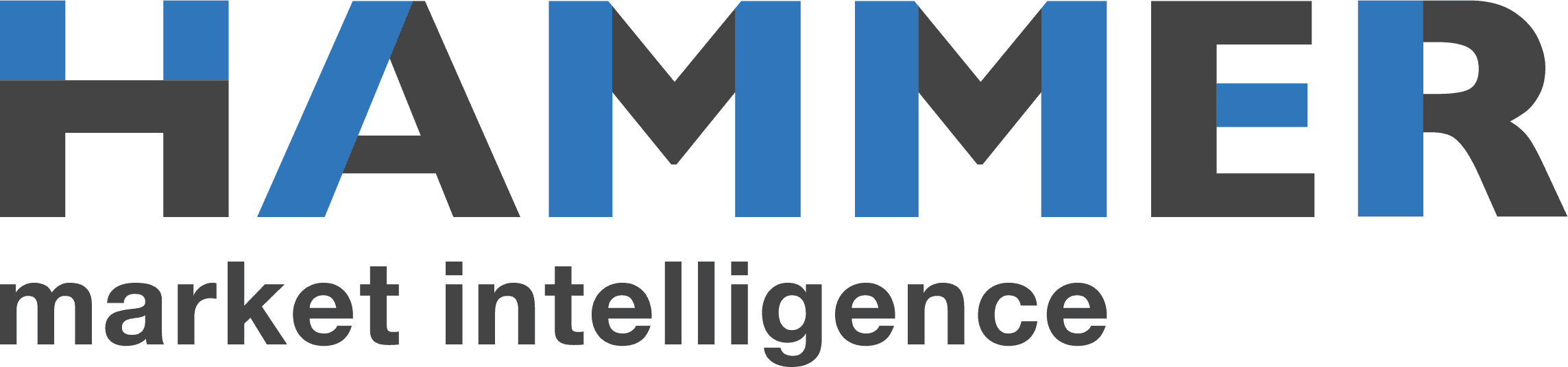 Hammer Logo